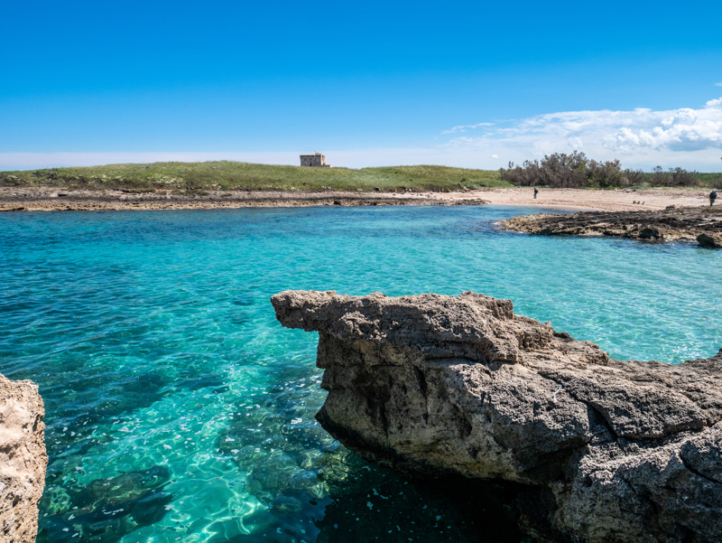 Riserva Naturale di Torre Guaceto: un paradiso di biodiversità e storia